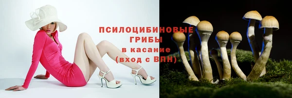 крисы Горно-Алтайск
